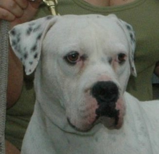 Mr. Benny