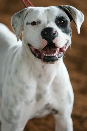 Thalia smiling